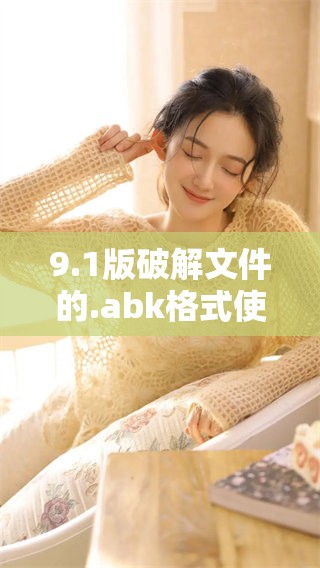 9.1版破解文件的.abk格式使用介绍与技巧分享