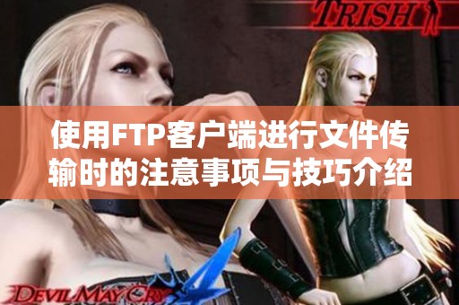 使用FTP客户端进行文件传输时的注意事项与技巧介绍