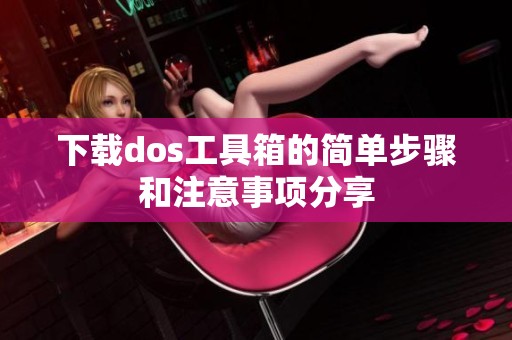 下载dos工具箱的简单步骤和注意事项分享