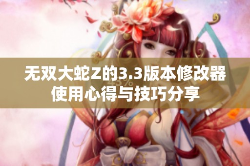 无双大蛇Z的3.3版本修改器使用心得与技巧分享