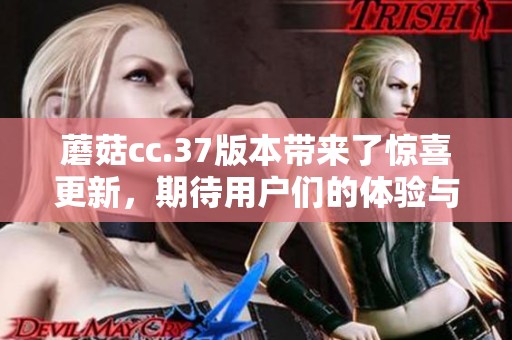 蘑菇cc.37版本带来了惊喜更新，期待用户们的体验与反馈