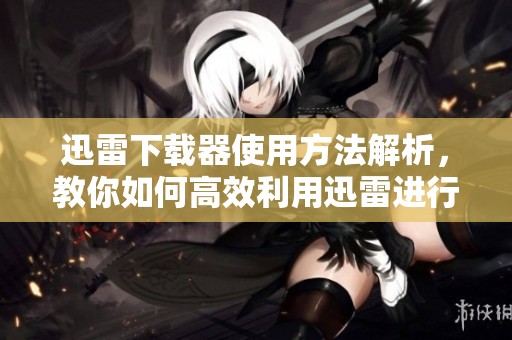 迅雷下载器使用方法解析，教你如何高效利用迅雷进行下载