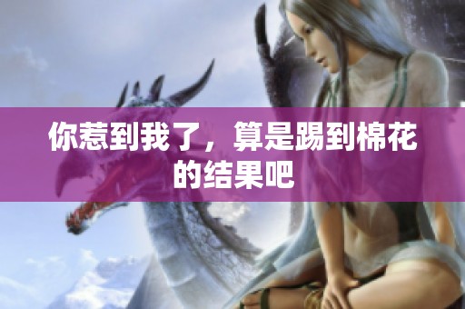 你惹到我了，算是踢到棉花的结果吧