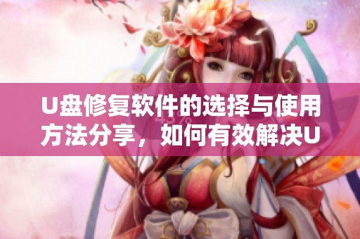 U盘修复软件的选择与使用方法分享，如何有效解决U盘故障问题