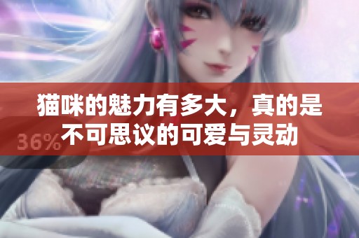 猫咪的魅力有多大，真的是不可思议的可爱与灵动