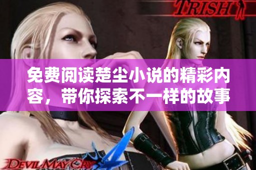 免费阅读楚尘小说的精彩内容，带你探索不一样的故事世界