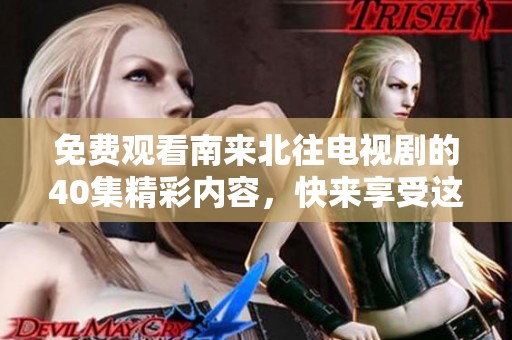 免费观看南来北往电视剧的40集精彩内容，快来享受这部经典佳作吧