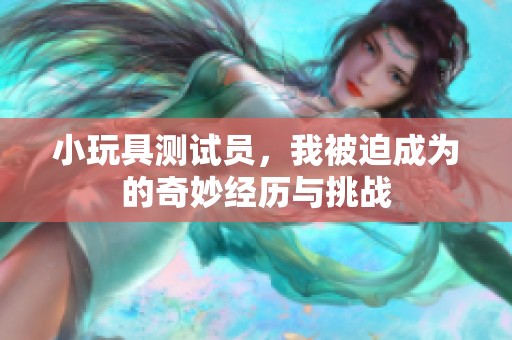 小玩具测试员，我被迫成为的奇妙经历与挑战