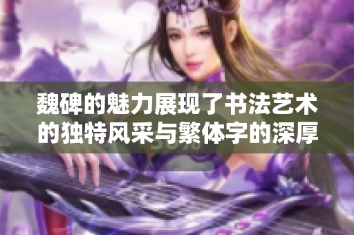 魏碑的魅力展现了书法艺术的独特风采与繁体字的深厚文化底蕴