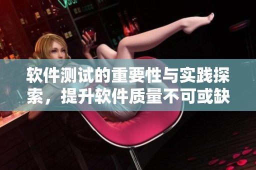 软件测试的重要性与实践探索，提升软件质量不可或缺的环节