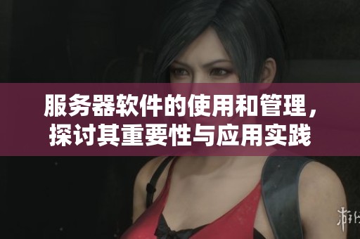 服务器软件的使用和管理，探讨其重要性与应用实践