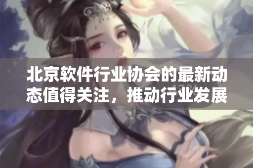 北京软件行业协会的最新动态值得关注，推动行业发展的重要力量在此彰显