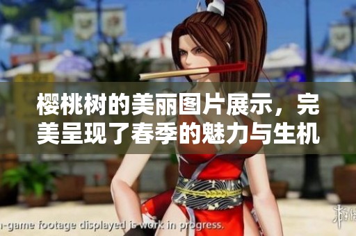 樱桃树的美丽图片展示，完美呈现了春季的魅力与生机