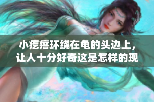 小疙瘩环绕在龟的头边上，让人十分好奇这是怎样的现象