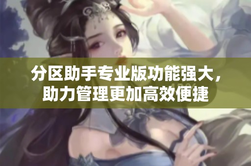 分区助手专业版功能强大，助力管理更加高效便捷
