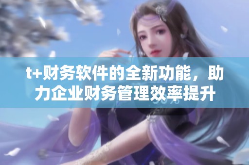 t+财务软件的全新功能，助力企业财务管理效率提升