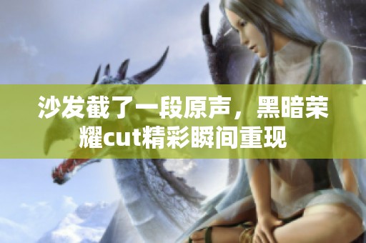 沙发截了一段原声，黑暗荣耀cut精彩瞬间重现