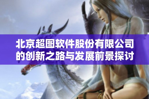 北京超图软件股份有限公司的创新之路与发展前景探讨