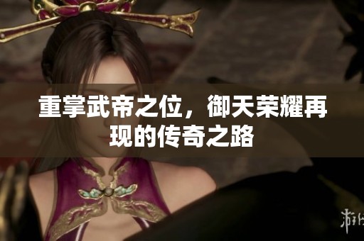 重掌武帝之位，御天荣耀再现的传奇之路