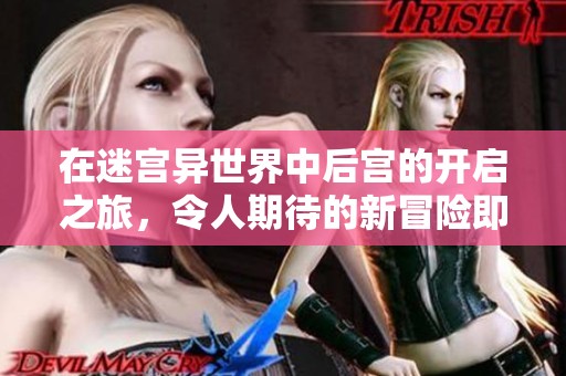 在迷宫异世界中后宫的开启之旅，令人期待的新冒险即将开始