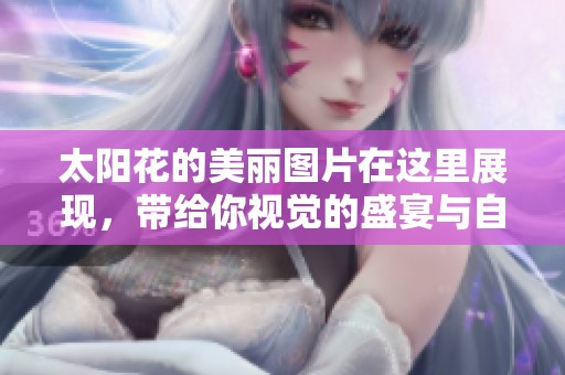 太阳花的美丽图片在这里展现，带给你视觉的盛宴与自然的魅力
