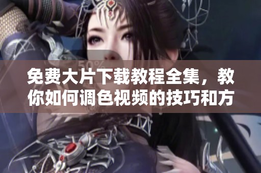 免费大片下载教程全集，教你如何调色视频的技巧和方法