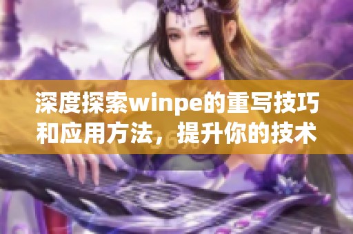 深度探索winpe的重写技巧和应用方法，提升你的技术实力与实用经验