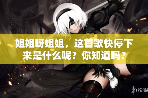 姐姐呀姐姐，这首歌快停下来是什么呢？你知道吗？