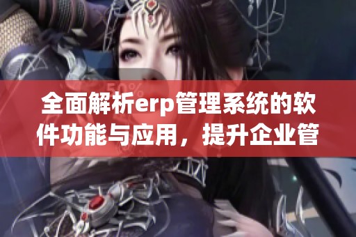 全面解析erp管理系统的软件功能与应用，提升企业管理效率的利器