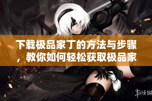 下载极品家丁的方法与步骤，教你如何轻松获取极品家丁的资源