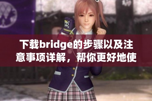 下载bridge的步骤以及注意事项详解，帮你更好地使用bridge工具