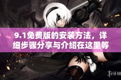9.1免费版的安装方法，详细步骤分享与介绍在这里等你来查看