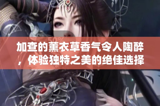 加查的薰衣草香气令人陶醉，体验独特之美的绝佳选择