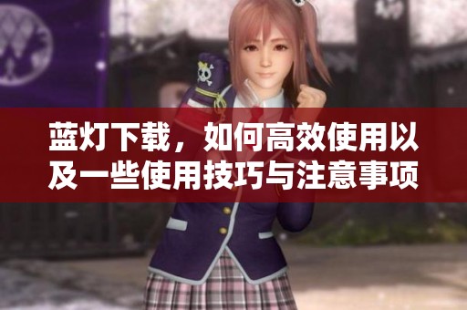 蓝灯下载，如何高效使用以及一些使用技巧与注意事项