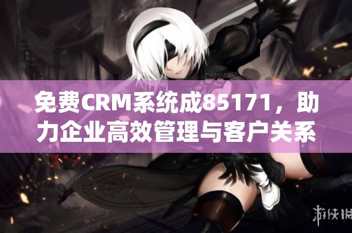 免费CRM系统成85171，助力企业高效管理与客户关系提升的方法