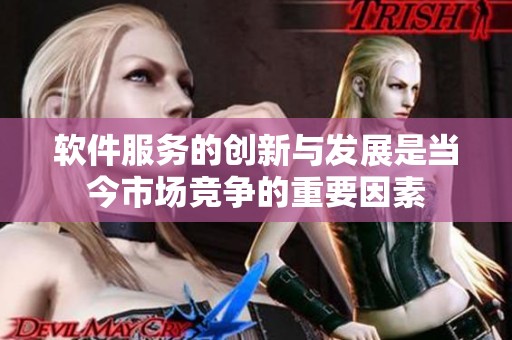 软件服务的创新与发展是当今市场竞争的重要因素