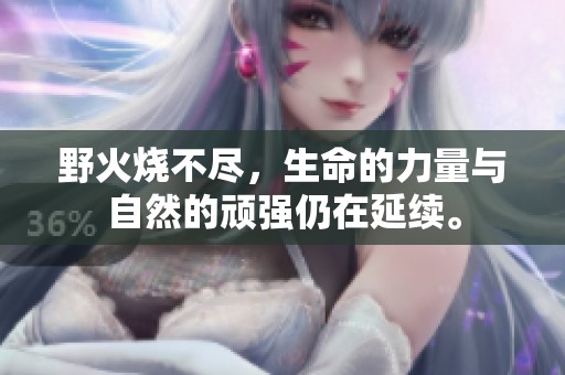 野火烧不尽，生命的力量与自然的顽强仍在延续。