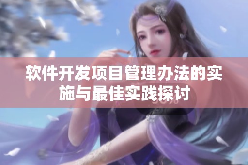 软件开发项目管理办法的实施与最佳实践探讨