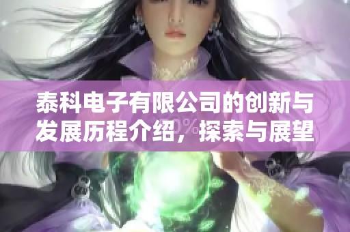泰科电子有限公司的创新与发展历程介绍，探索与展望未来的战略方向
