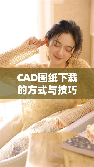 CAD图纸下载的方式与技巧，轻松获取你所需的设计文件