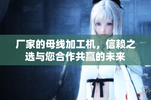 厂家的母线加工机，信赖之选与您合作共赢的未来