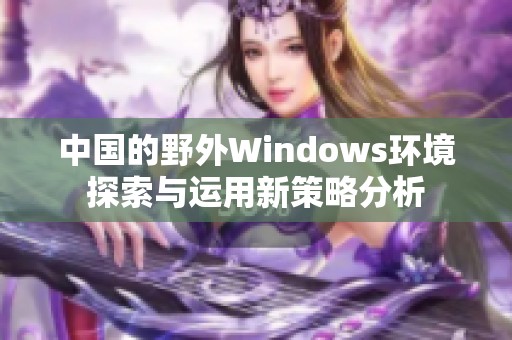 中国的野外Windows环境探索与运用新策略分析