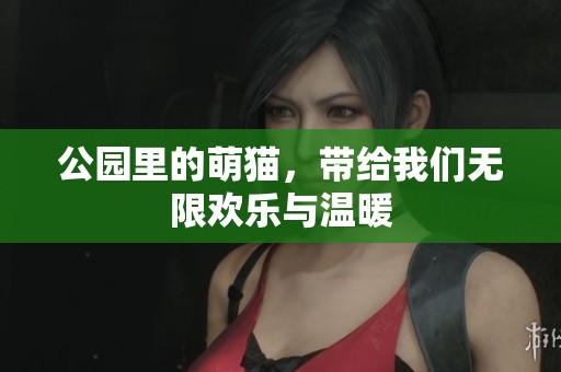 公园里的萌猫，带给我们无限欢乐与温暖