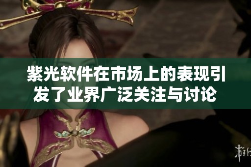 紫光软件在市场上的表现引发了业界广泛关注与讨论