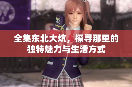 全集东北大炕，探寻那里的独特魅力与生活方式