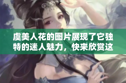 虞美人花的图片展现了它独特的迷人魅力，快来欣赏这些美丽的花朵吧