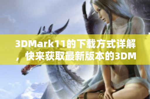 3DMark11的下载方式详解，快来获取最新版本的3DMark11！
