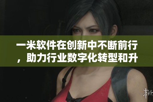 一米软件在创新中不断前行，助力行业数字化转型和升级的梦想。