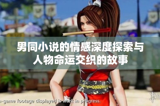 男同小说的情感深度探索与人物命运交织的故事