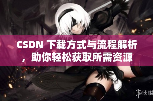 CSDN 下载方式与流程解析，助你轻松获取所需资源